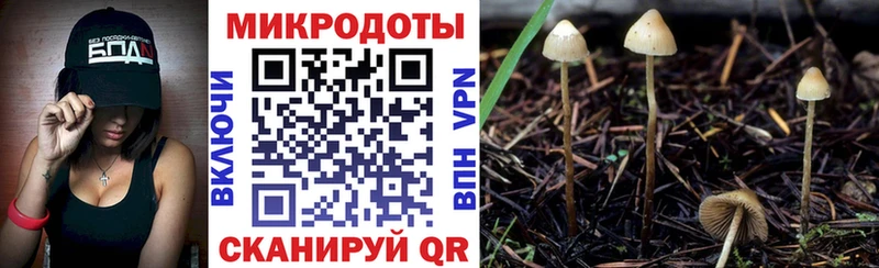 Псилоцибиновые грибы прущие грибы  hydra ТОР  Серпухов 