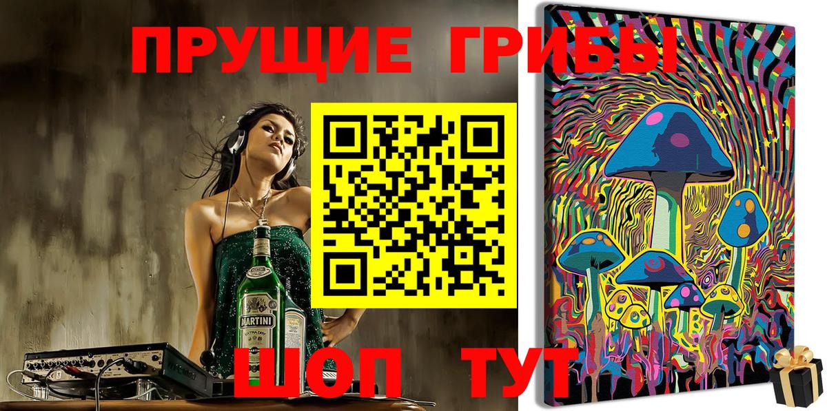 Галлюциногенные грибы Psilocybine cubensis Серпухов