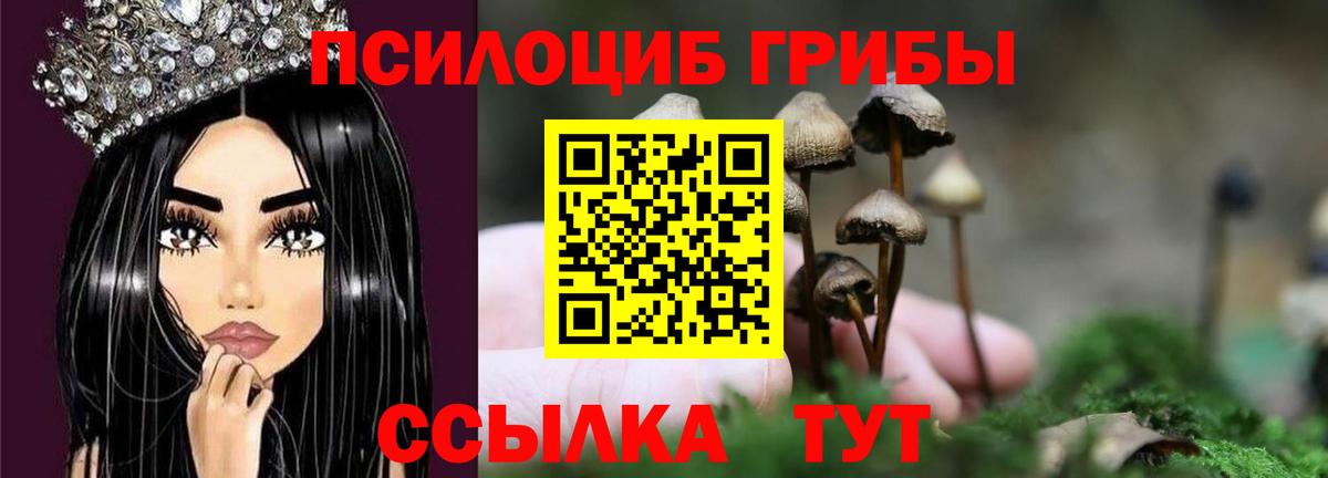 Галлюциногенные грибы MAGIC MUSHROOMS Серпухов