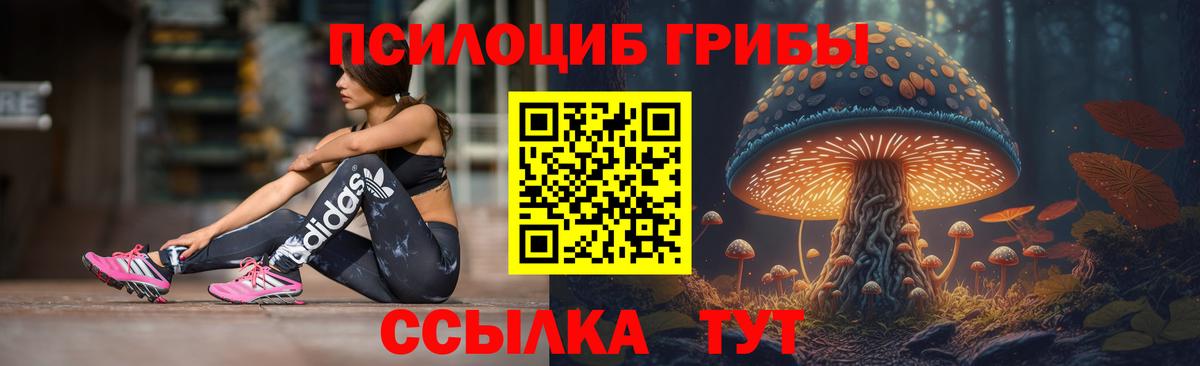 Псилоцибиновые грибы прущие грибы  закладка  Вход с VPN  Серпухов  Галлюциногенные грибы Psilocybine cubensis 